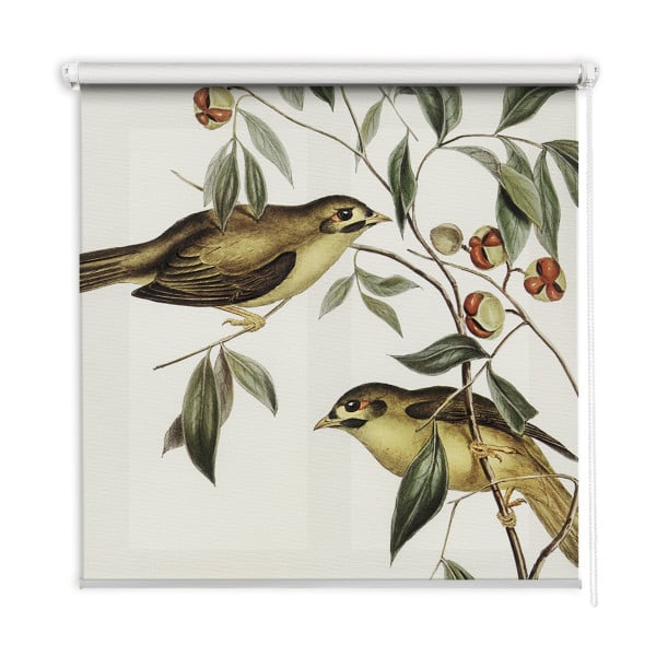 Roleta wewnętrzna - 150x140 cm -Ptaki Na Drzewie 468499