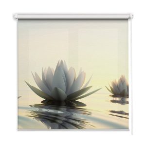 Roleta wewnętrzna – 150×240 cm -Lilie Wodne 467230 Roleta wewnętrzna – 150×240 cm -Lilie Wodne 467230