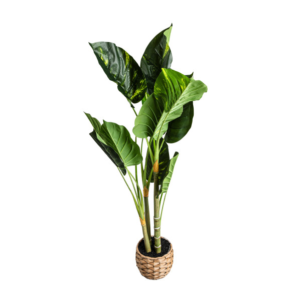 ROŚLINA SZTUCZNA B2 DIFENBACHIA 110 cm HOMLA 895946