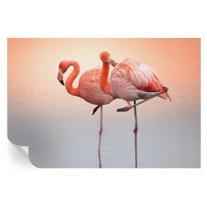 Samoprzylepna tapeta Delikatne flamingi 104×70 Wallfluent 935740