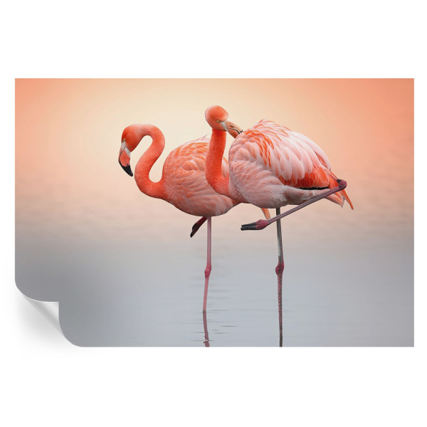 Samoprzylepna tapeta Delikatne flamingi 104x70 Wallfluent 935740