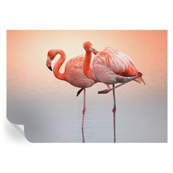 Samoprzylepna tapeta Delikatne flamingi 208x146 Wallfluent 935578