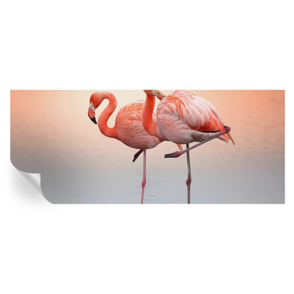 Samoprzylepna tapeta Delikatne flamingi 250x104 Wallfluent 935744
