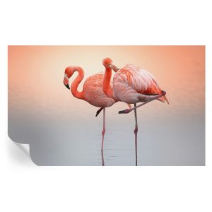Samoprzylepna tapeta Delikatne flamingi 416×254 Wallfluent 935631