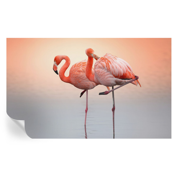 Samoprzylepna tapeta Delikatne flamingi 416x254 Wallfluent 935631
