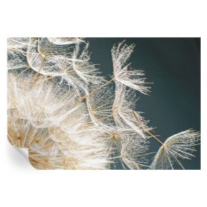 Samoprzylepna tapeta Dmuchawiec lekkości 152×104 Tulup 934182 Samoprzylepna tapeta Dmuchawiec lekkości 152×104 Tulup 934182