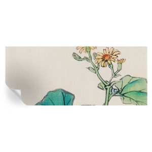 Samoprzylepna tapeta Kwiat i liście 250×104 Tulup 966951 Samoprzylepna tapeta Kwiat i liście 250×104 Tulup 966951