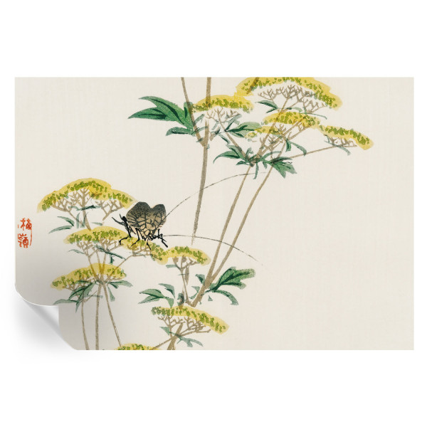 Samoprzylepna tapeta Kwiaty natura 152x104 Tulup 967144