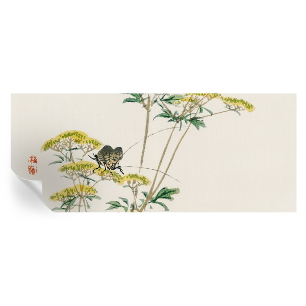 Samoprzylepna tapeta Kwiaty natura 250x104 Tulup 966957