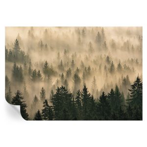 Samoprzylepna tapeta Leśna mgła 152×104 Tulup 967126 Samoprzylepna tapeta Leśna mgła 152×104 Tulup 967126