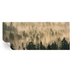 Samoprzylepna tapeta Leśna mgła 250×104 Tulup 967203 Samoprzylepna tapeta Leśna mgła 250×104 Tulup 967203