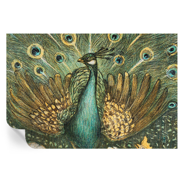 Samoprzylepna tapeta Majestatyczny paw 104x70 Wallfluent 935432