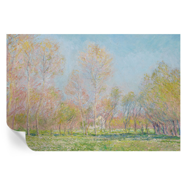 Samoprzylepna tapeta Wiosenny park 104x70 Wallfluent 935388