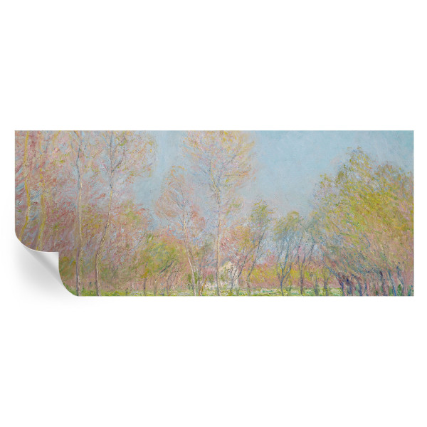 Samoprzylepna tapeta Wiosenny park 250x104 Wallfluent 935676
